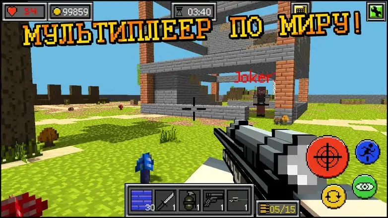 皮克塞尔比特瓦 皮克塞尔比特瓦