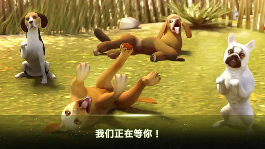 我的寄宿狗屋汉化版 我的寄宿狗屋汉化版