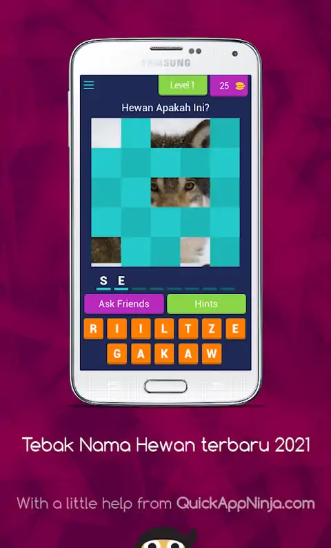 猜到最新的动物名字2021