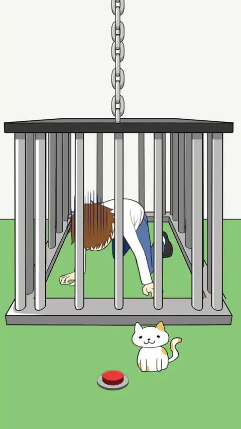 我的猫咪在哪儿