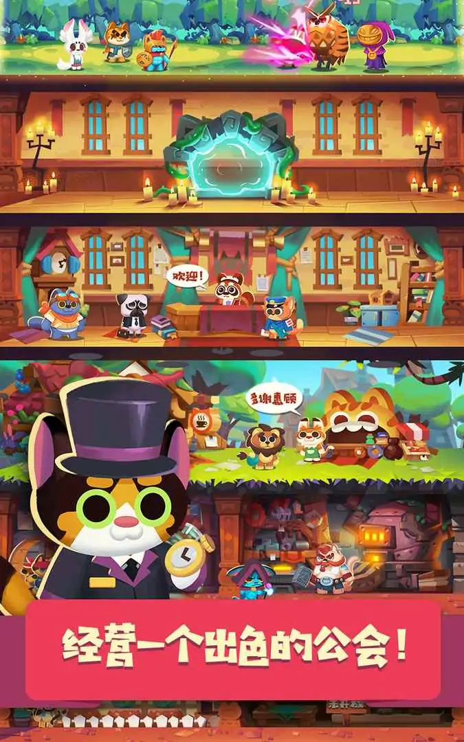 猫咪公会 猫咪公会