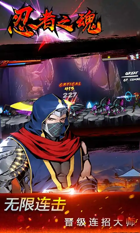 忍者之魂 忍者之魂