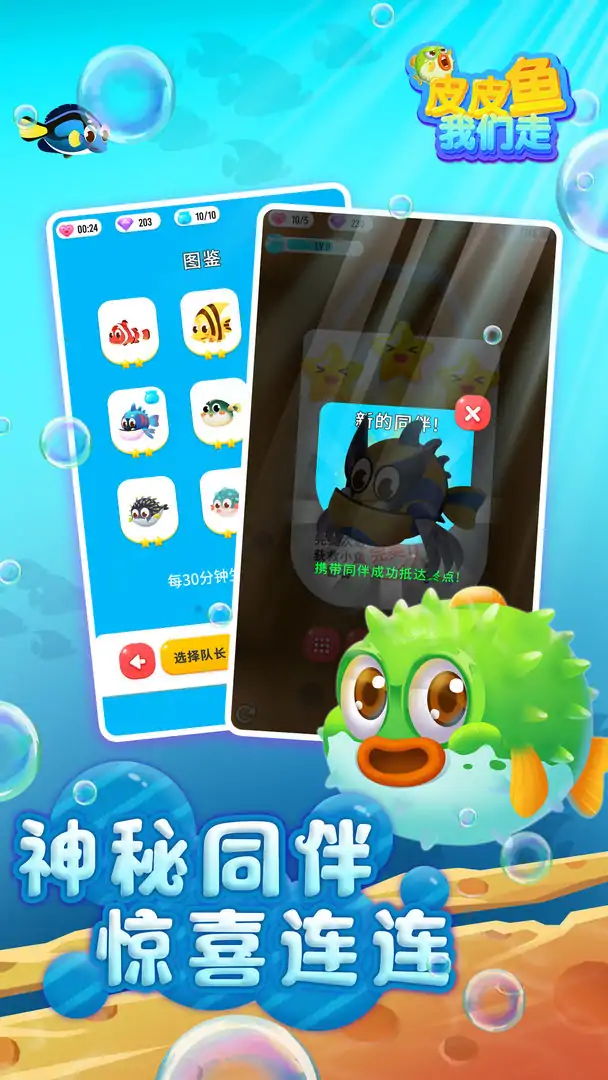 皮皮鱼！我们走