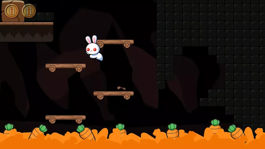 很奇怪的兔子2 很奇怪的兔子2