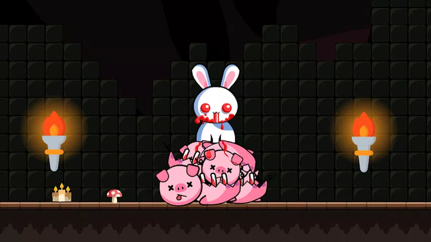 很奇怪的兔子2 很奇怪的兔子2