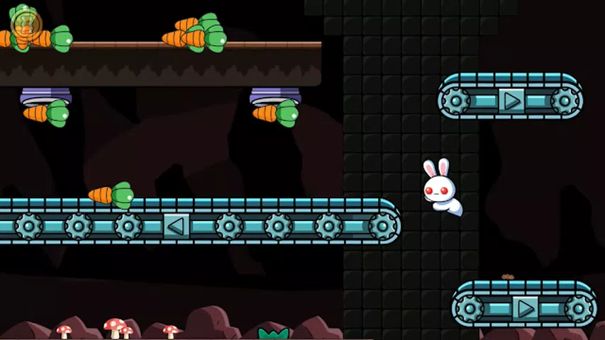 很奇怪的兔子2 很奇怪的兔子2