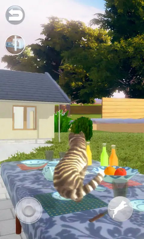 会说话的猫好笑 会说话的猫好笑