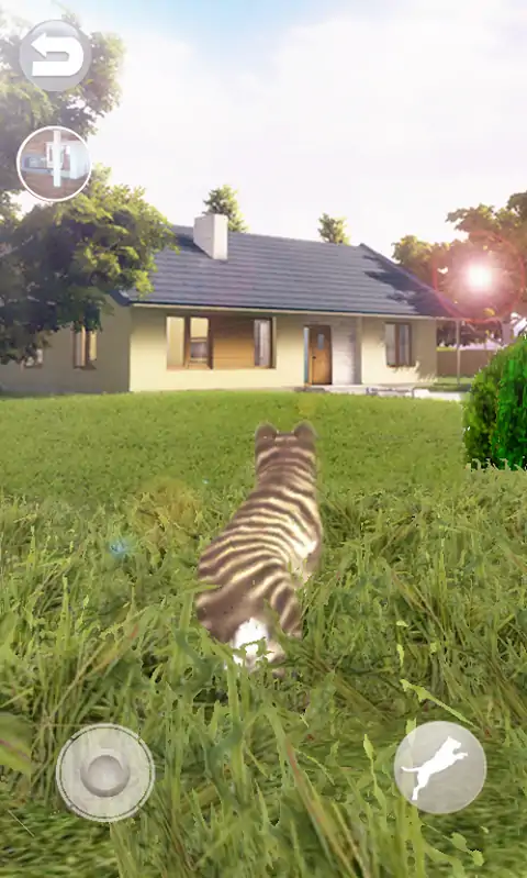 会说话的猫好笑 会说话的猫好笑