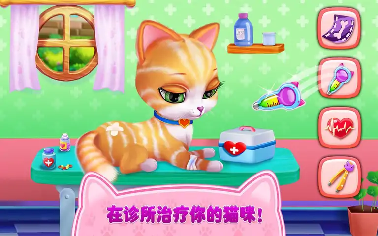 猫咪之恋——我毛茸茸的朋友 猫咪之恋——我毛茸茸的朋友