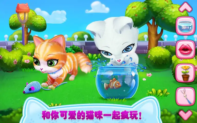 猫咪之恋——我毛茸茸的朋友 猫咪之恋——我毛茸茸的朋友