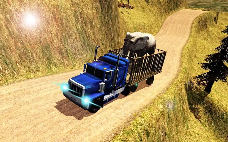 动物运输货车司机