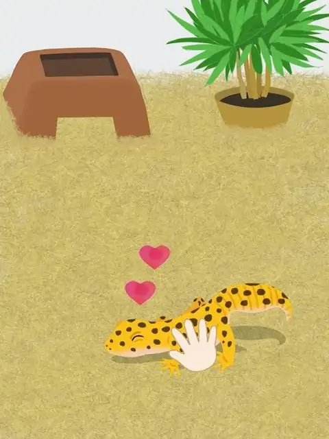 豹纹守宫模拟游戏