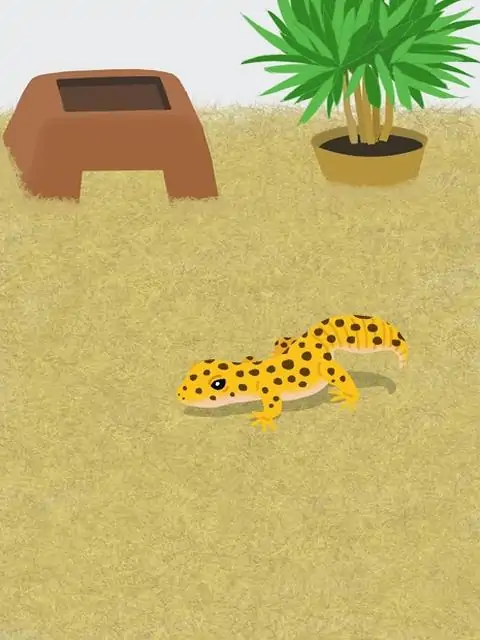 豹纹守宫模拟游戏