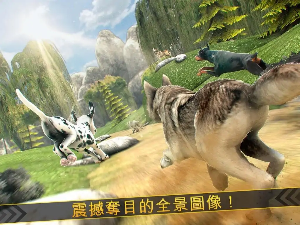 狼！野生动物是的