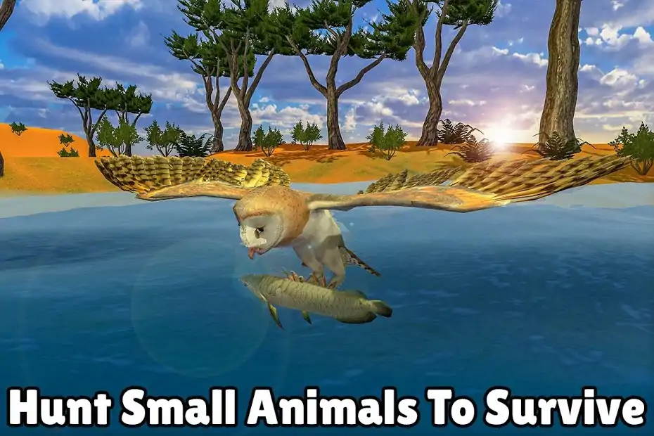 愤怒的猫头鹰模拟器 愤怒的猫头鹰模拟器