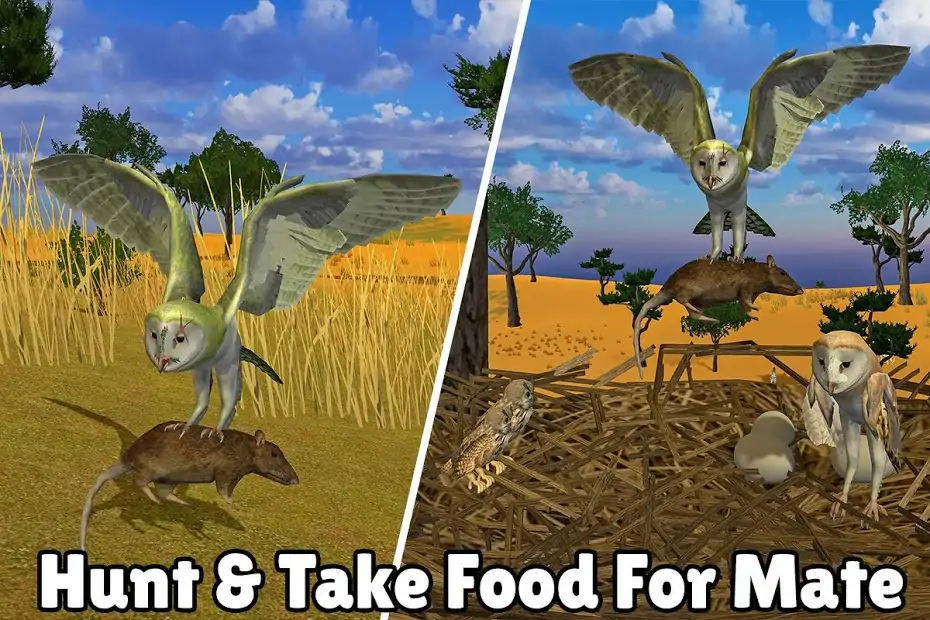 愤怒的猫头鹰模拟器 愤怒的猫头鹰模拟器