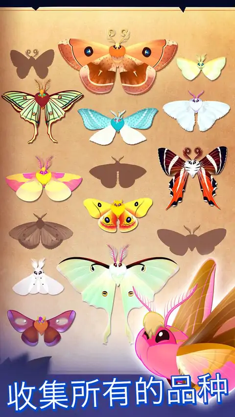 彩翼之星夜-大量金币版