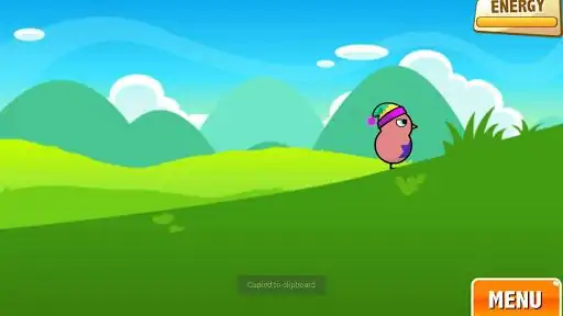 鸭子生活 鸭子生活