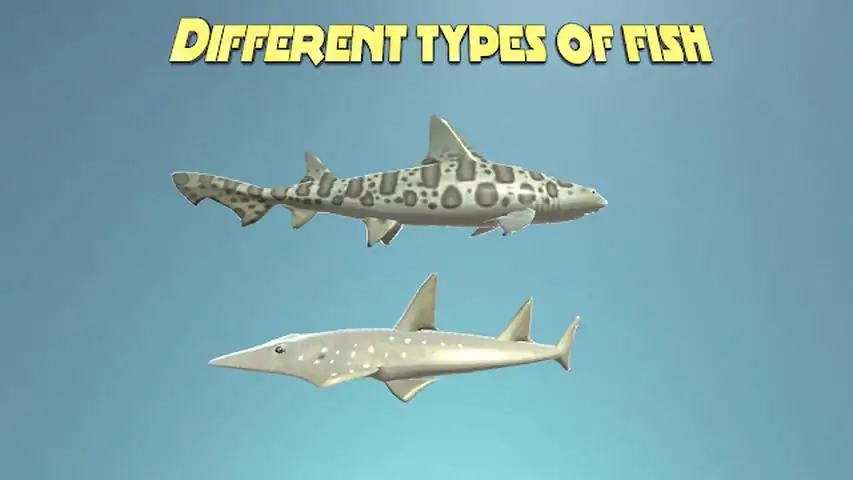 真实鲨鱼模拟器3D