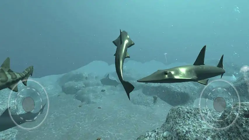 真实鲨鱼模拟器3D