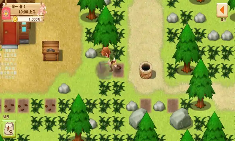 牧场物语：希望之光