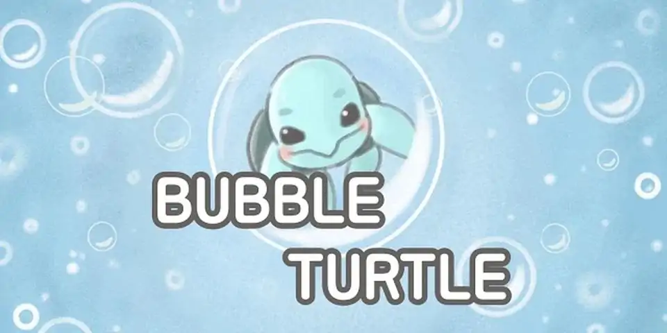 泡泡龟
