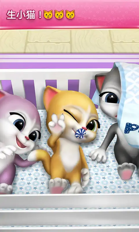 会说话的怀孕艾玛猫