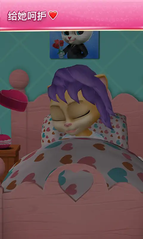 会说话的怀孕艾玛猫