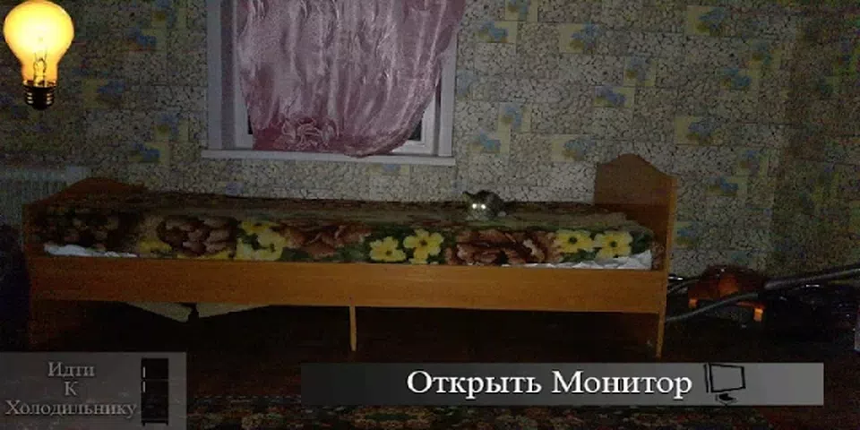 刺猬的五夜后宫