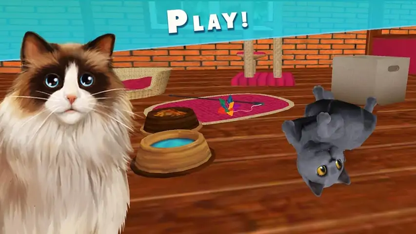 宠物旅馆——我的可爱动物旅馆