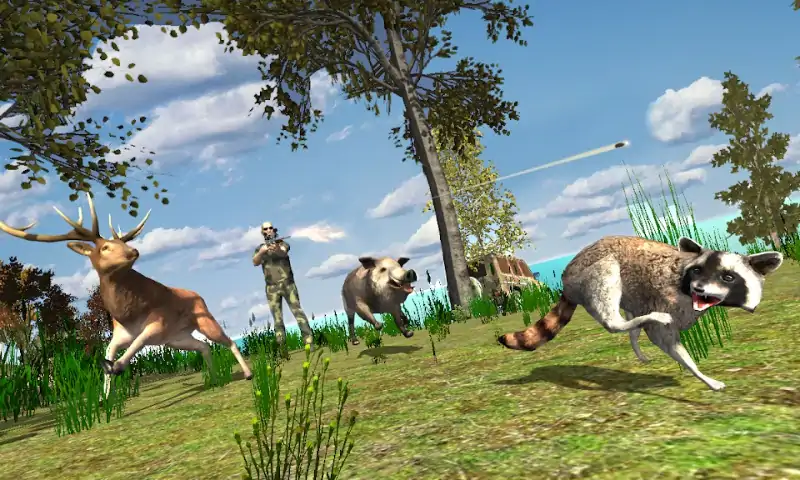 欧洲狩猎 欧洲狩猎