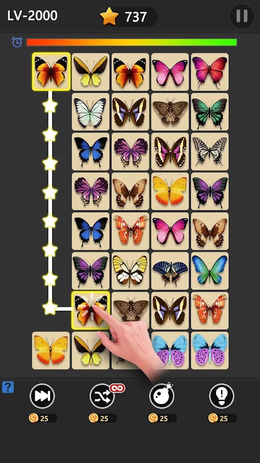 配对动物 配对动物