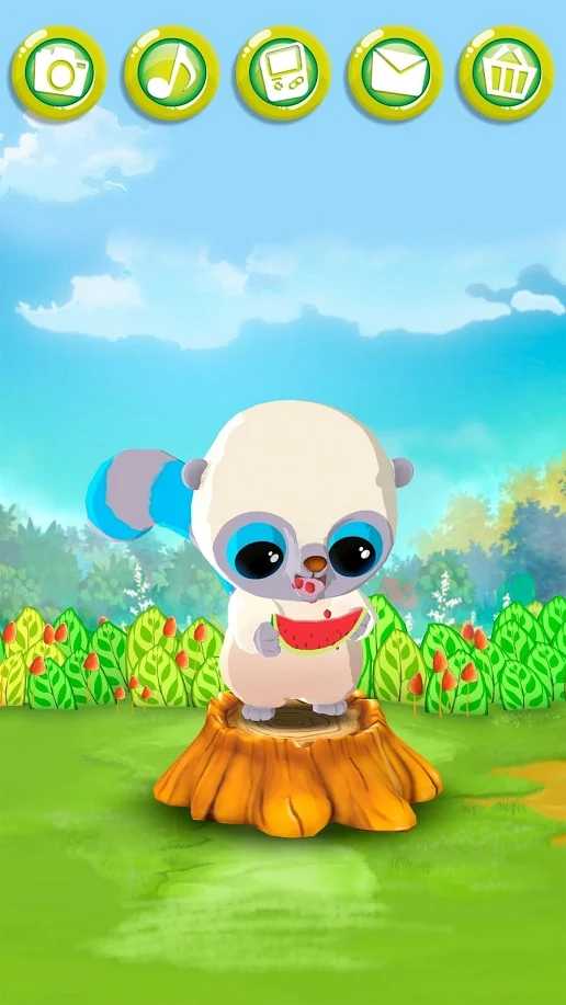 会说话的小佑猴