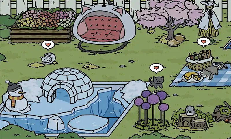 一起来养猫 一起来养猫