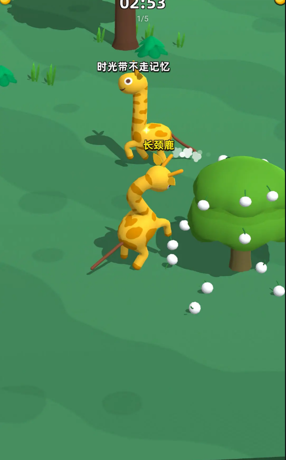 长颈鹿是这样打架的