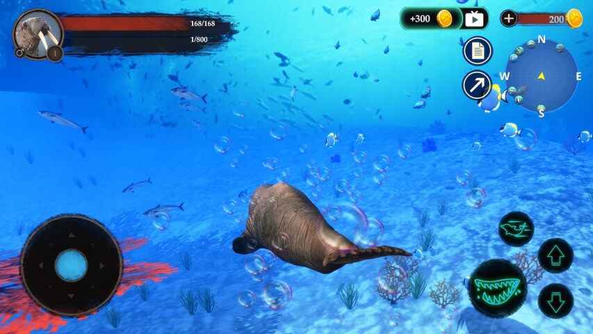 The Warlus(海狮模拟器)