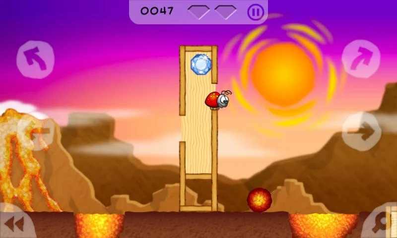 虫虫历险记 虫虫历险记