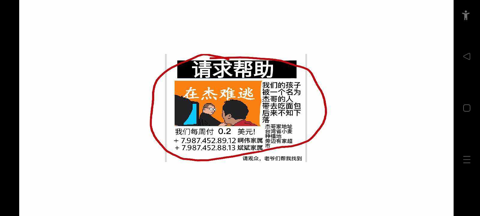 小猪佩奇的午夜后宫杰哥版 小猪佩奇的午夜后宫杰哥版