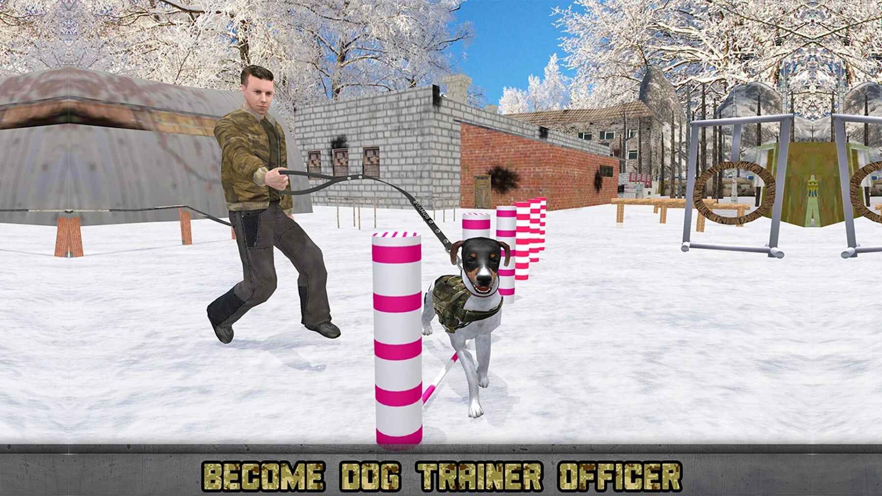 美国陆军犬训练营