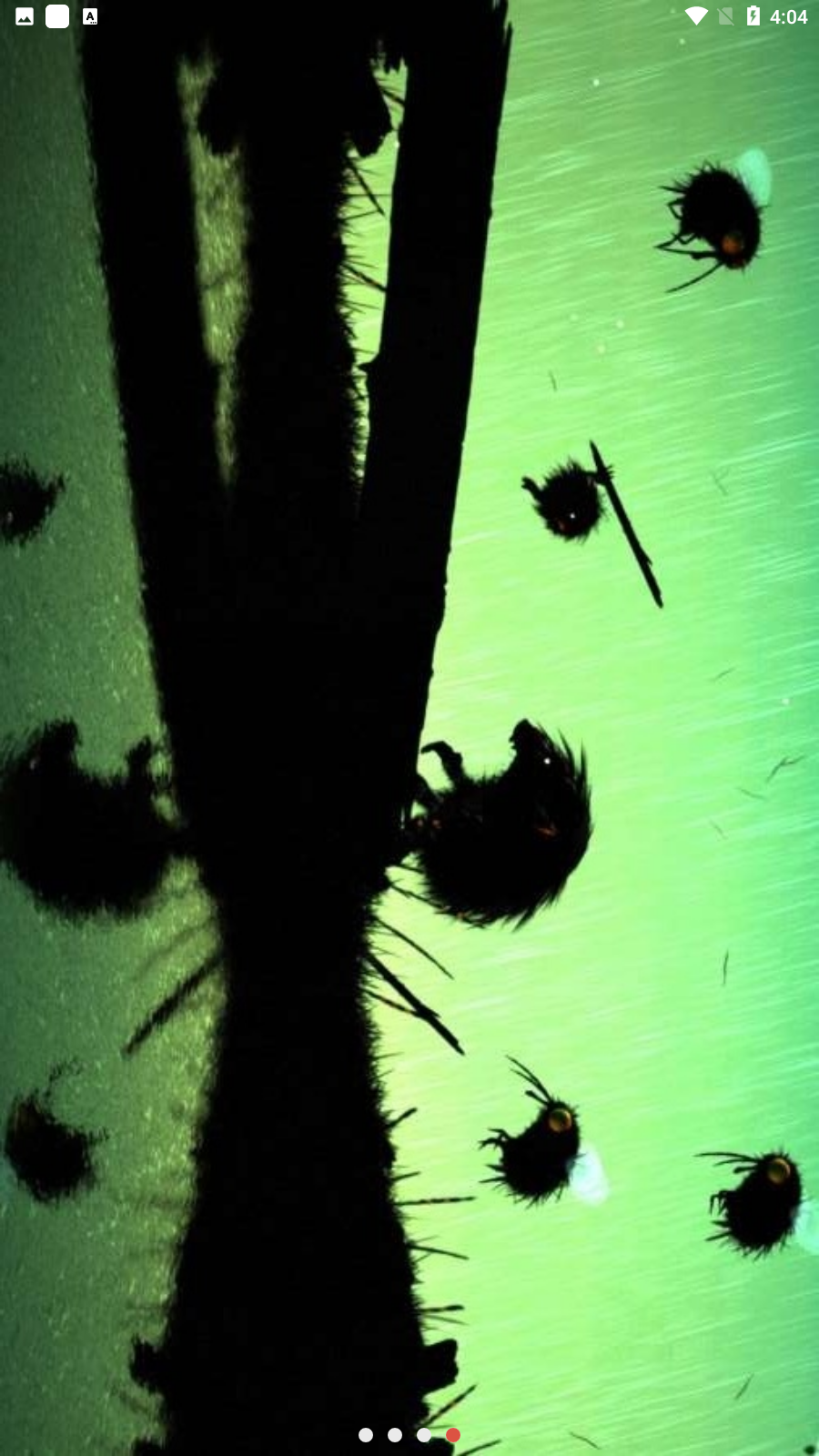 费斯特(抖音阿李推荐)