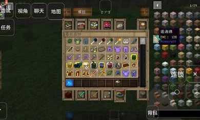 我的世界:至不渝的爱