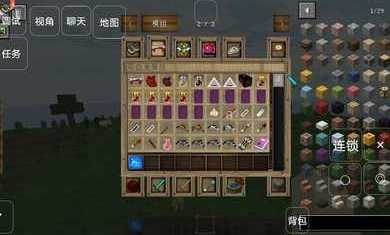 我的世界:至不渝的爱