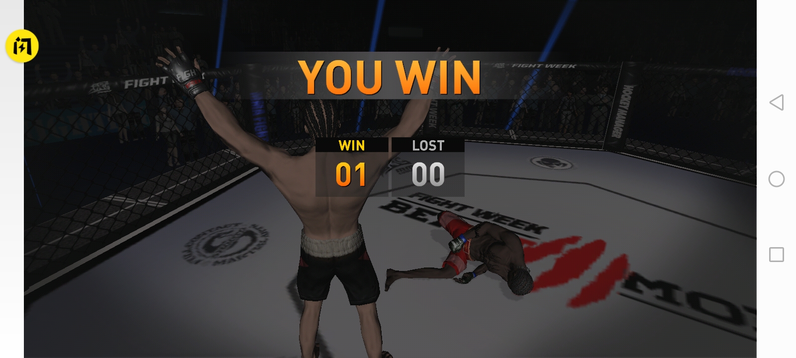 世界拳击格斗锦标赛