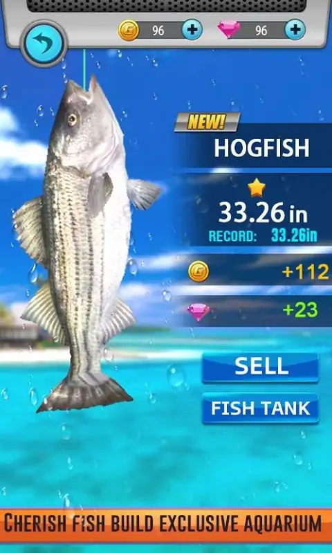 钓鱼罢工 钓鱼罢工