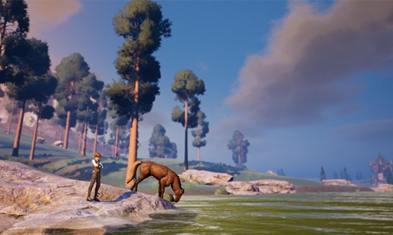 代号:多米诺 代号:多米诺