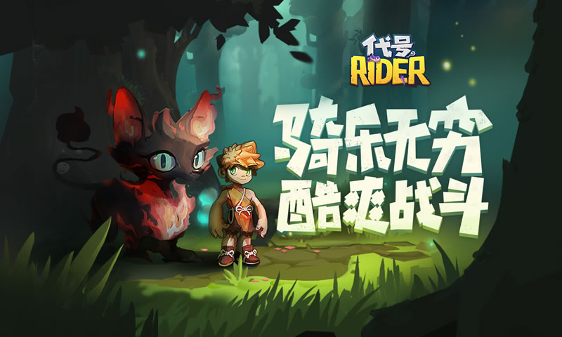代号:Rider