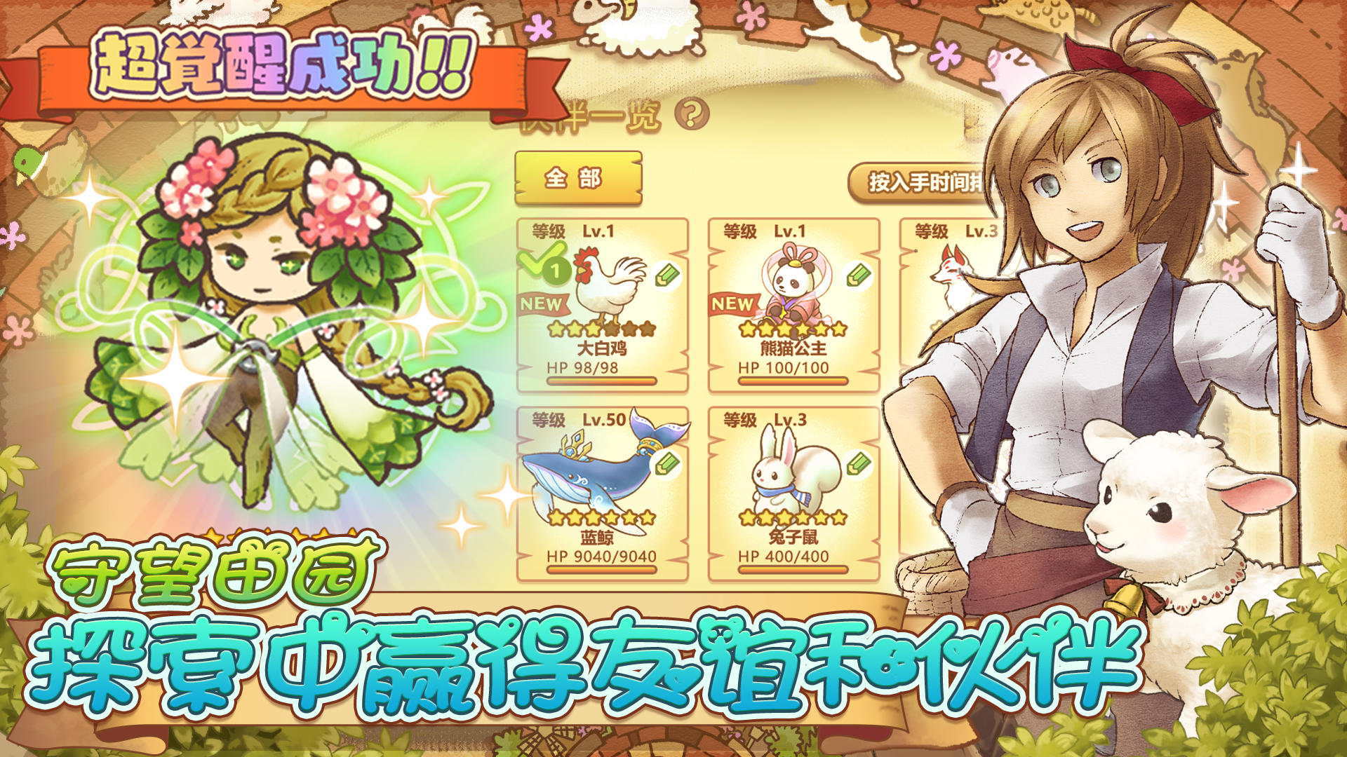 绵羊村的恬静时光