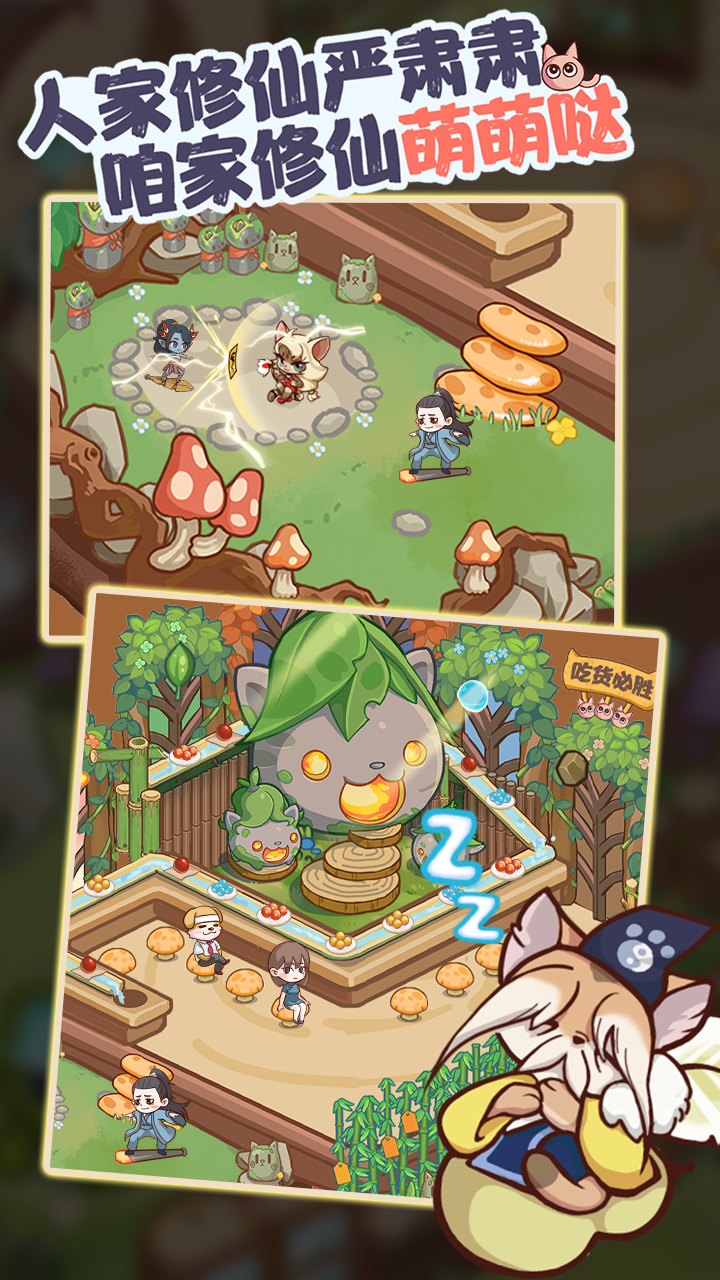 我家猫开的修仙中心 我家猫开的修仙中心