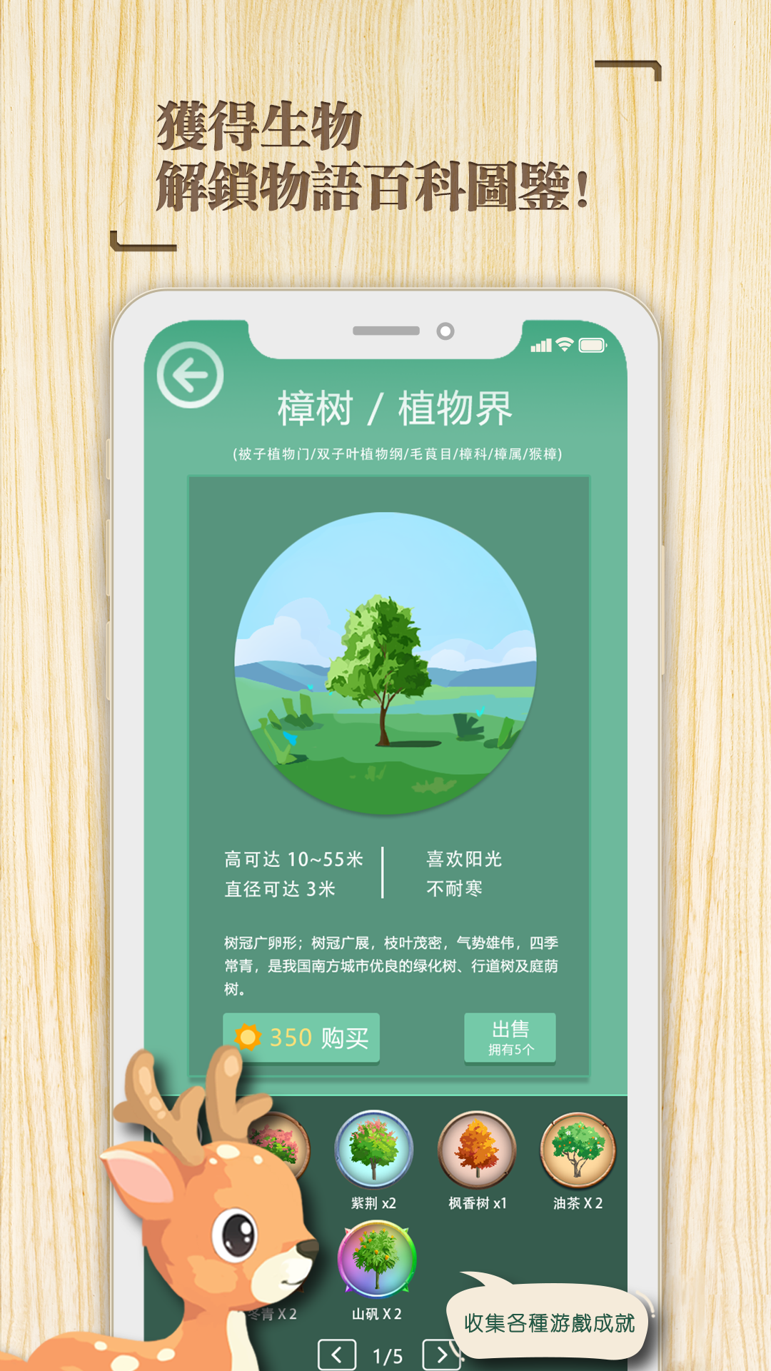 专注时光 专注时光