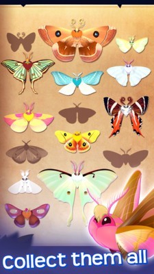 彩翼之星夜（中文版）